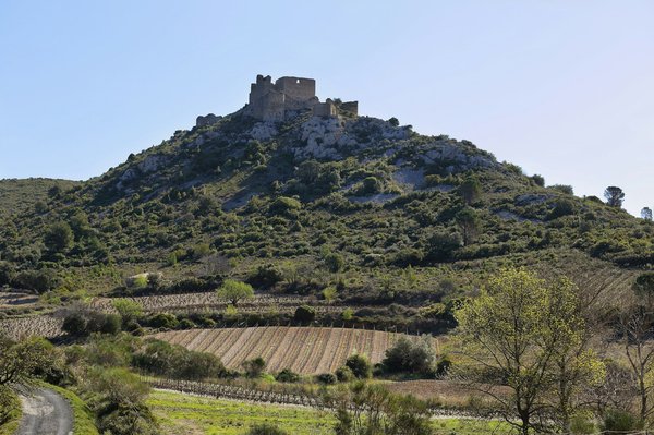 Which UK cruises offer the best experiences for history buffs?